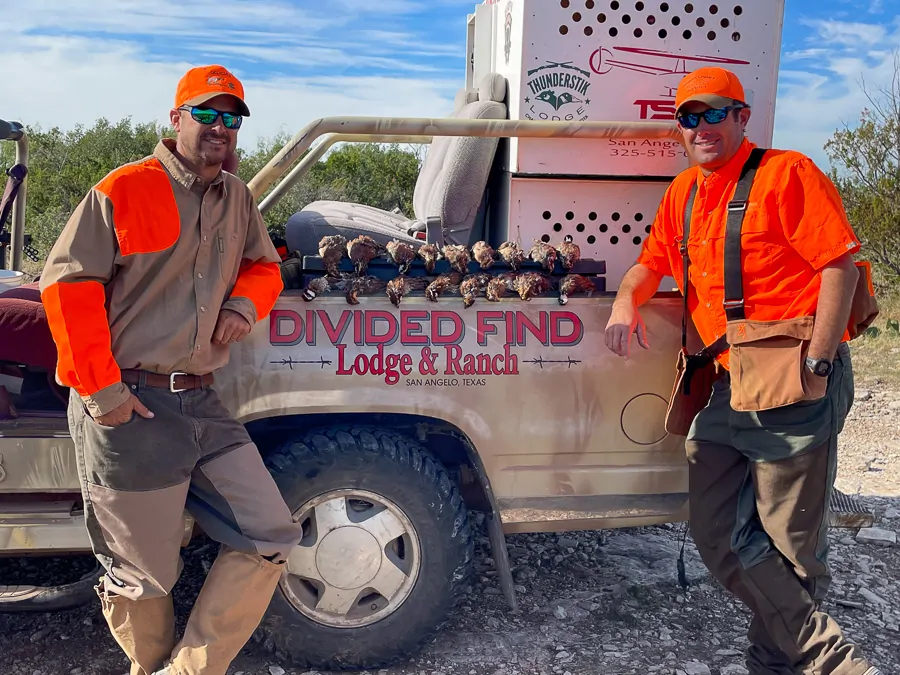 Texas Quail Hunting